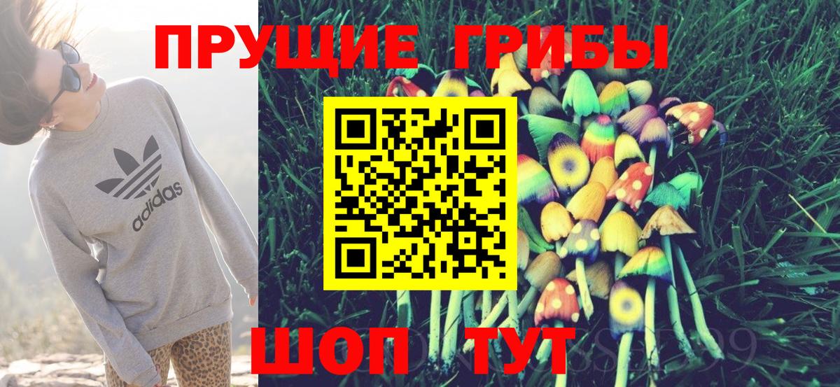 хочу   Галлюциногенные грибы Magic Shrooms  Вход с VPN  Лесозаводск 